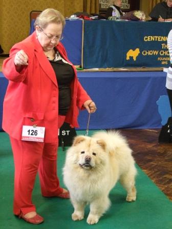 The Chow Chow Club